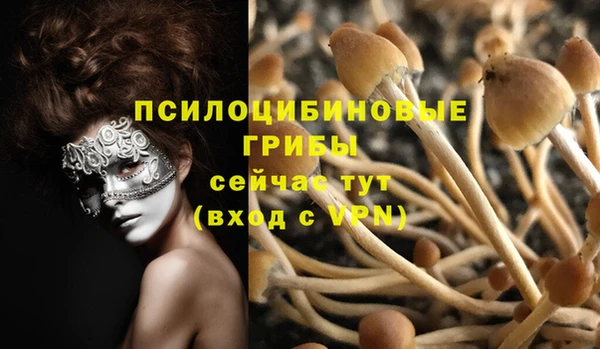 mix Долгопрудный