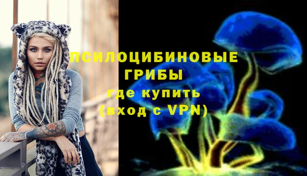 PSILOCYBIN Липки