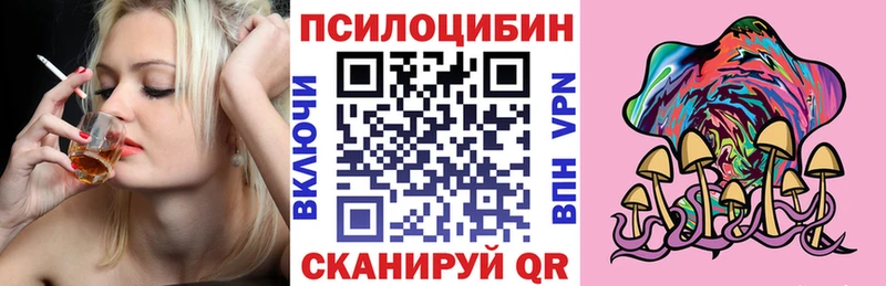 закладка  hydra   Псилоцибиновые грибы Psilocybe  Печора 