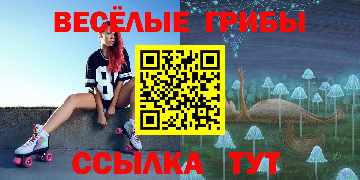 Псилоцибиновые грибы Magic Shrooms  Псилоцибиновые грибы Psilocybine cubensis  Печора 