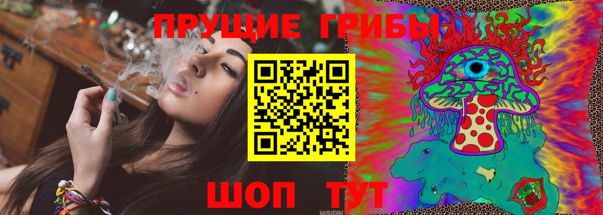 Печора  купить  сайты  Вход с VPN  Псилоцибиновые грибы Psilocybine cubensis 