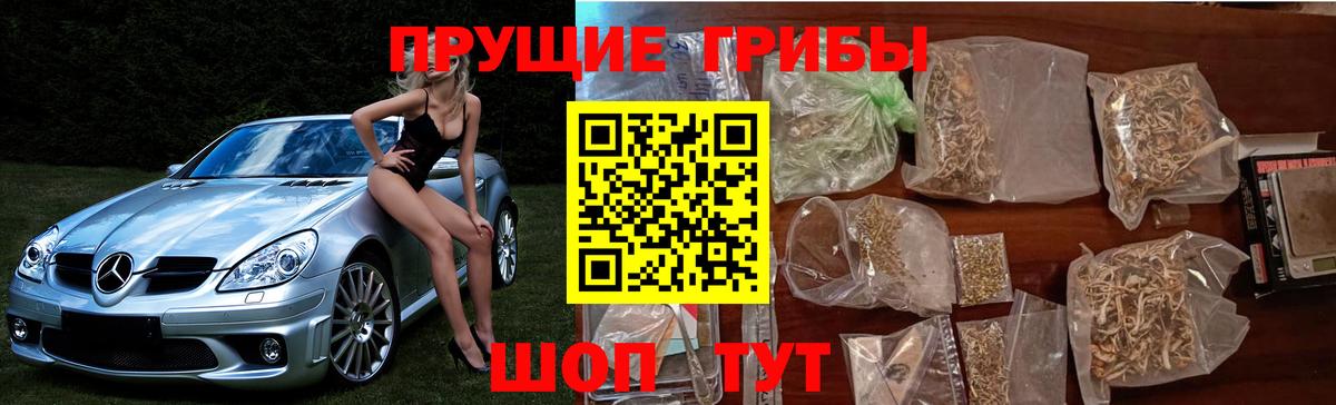 Печора  Галлюциногенные грибы Psilocybe  Вход с VPN 