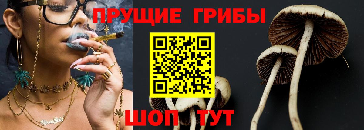 Галлюциногенные грибы прущие грибы Печора