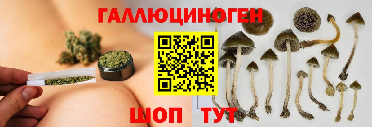 Псилоцибиновые грибы мухоморы Печора